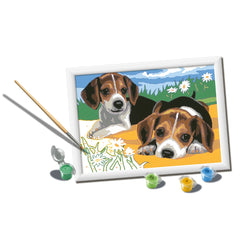 Pintura por números Cãezinhos Jack Russell – Ravensburger
