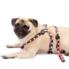 Arnês Zooz, de cores preto e branco com detalhes vermelhos e figuras do snoopy. Exibido num cão de porte pequeno, sobre fundo branco.