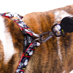 Arnês Zooz, de cores preto e branco com detalhes vermelhos e figuras do snoopy. Exibido em pormenor, num cão de porte pequeno, sobre fundo branco.