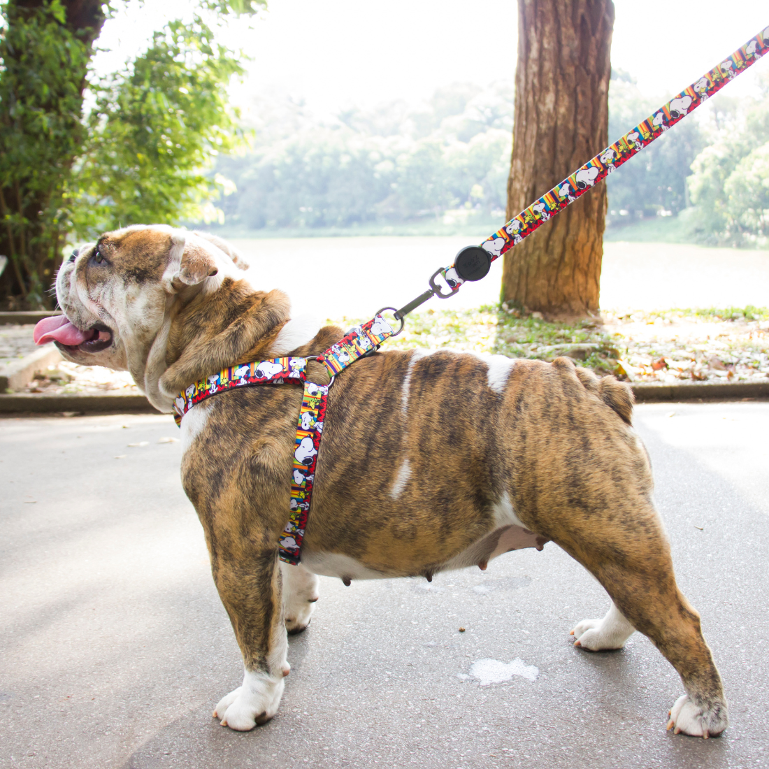Trela Zooz ajustável, de padrão colorido e com figuras do snoopy.
Exibida num cão, em ambiente exterior.