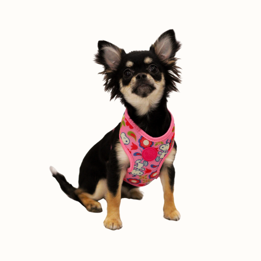 Arnês Corporal Zooz, em padrão cor de rosa com flores e figuras do snoopy, em vários tamanhos. Exibido num cão de porte pequeno, sobre fundo branco.