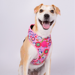 Arnês Corporal Zooz, em padrão cor de rosa com flores e figuras do snoopy, em vários tamanhos. Exibido num cão de porte médio, sobre fundo branco.