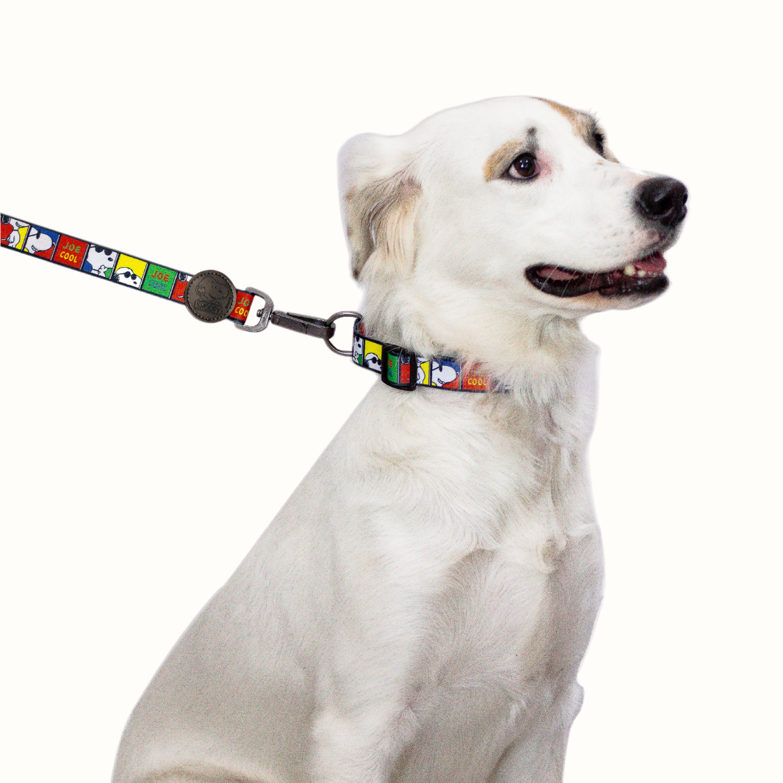 Trela Zooz ajustável, de padrão colorido, com figuras do snoopy e elementos como a frase "joe cool".
Exibida num cão de porte médio, sobre fundo branco.