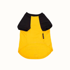 Camisola ZOOZ para cão com design do Snoopy, da cor amarelo, com detalhes pretos. Vista do angulo inferior, sobre fundo branco.