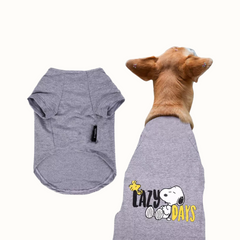 Camisola ZOOZ para cão com design do Snoopy, de cor cinzenta, com detalhes pretos, brancos e amarelos. Estampa do personagem com a frase "Lazy Days". Vista das costas de um cão, sobre fundo branco.
