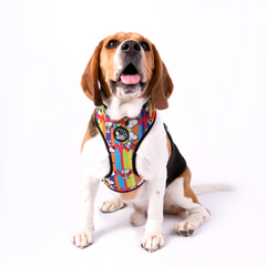 Arnês peitoral Zooz, colorido com figuras do snoopy. Exibido num cão de porte pequeno-médio, sobre fundo branco.