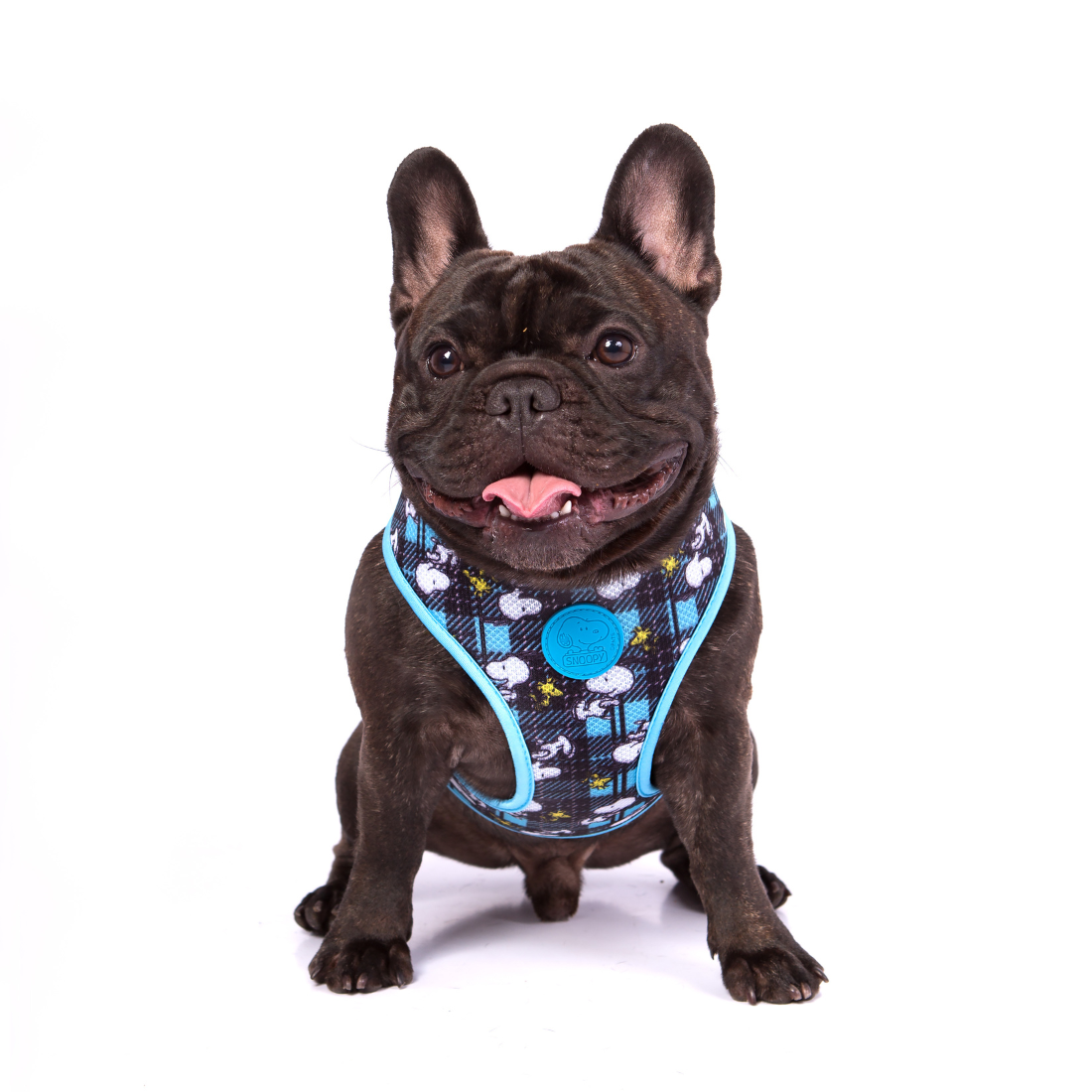 Arnês Corporal Zooz, em padrão azul e preto, com figuras do snoopy e do Woodstock, em vários tamanhos. Exibido num cão de porte pequeno, sobre fundo branco.