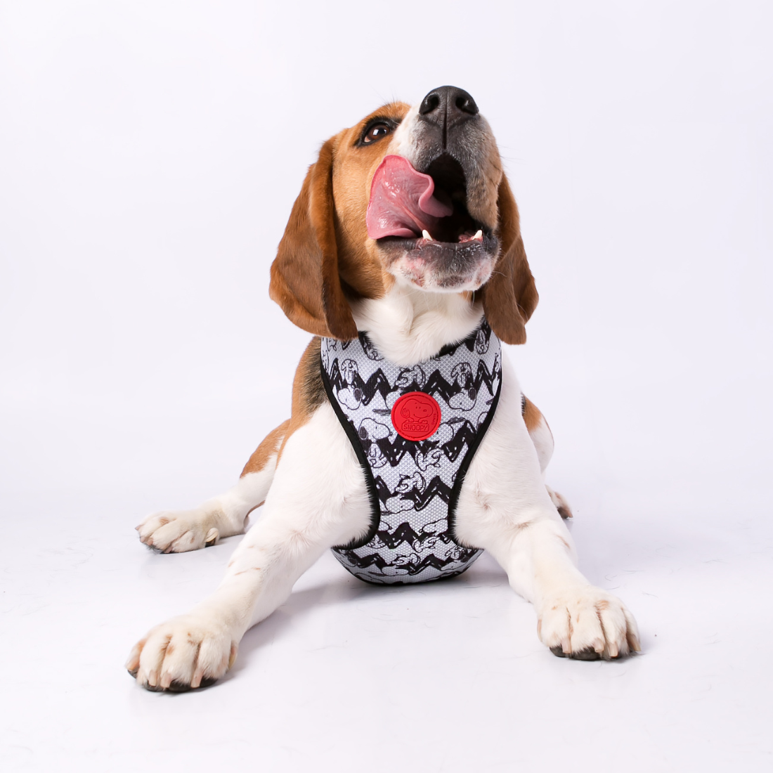 Arnês peitoral Zooz, de padrão preto e branco em zig-zag com figuras do snoopy. Exibido num cão de porte pequeno, sobre fundo branco.