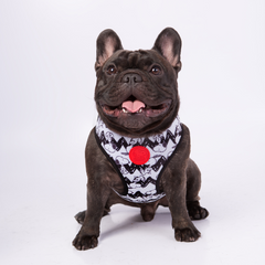 Arnês peitoral Zooz, de padrão preto e branco em zig-zag com figuras do snoopy. Exibido num cão de porte pequeno, sobre fundo branco.