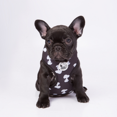 Arnês peitoral Zooz, de padrão preto e branco com figuras do snoopy, de vários de tamanhos. Exibido num cão de porte pequeno, sobre fundo branco.