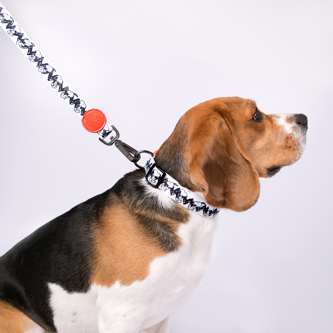 Trela Zooz ajustável, de padrão preto e bege, com detalhes vermelhos e com figuras do snoopy.
Exibido num cão de porte médio, sobre fundo branco.