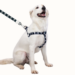 Arnês Zooz, em padrão preto e branco, com figuras do snoopy. Exibido num cão de porte médio-grande, em ambiente exterior.