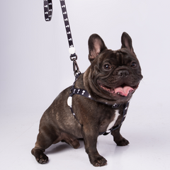 Trela Zooz ajustável, de padrão preto e branco, com figuras do snoopy.
Exibida num cão, em ambiente exterior.