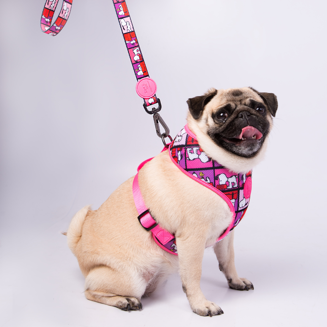 Trela Zooz ajustável, de padrão cor de rosa, vermelho e roxo, com detalhes vermelhos e com figuras do snoopy.
Exibido num cão de porte pequeno, sobre fundo branco.