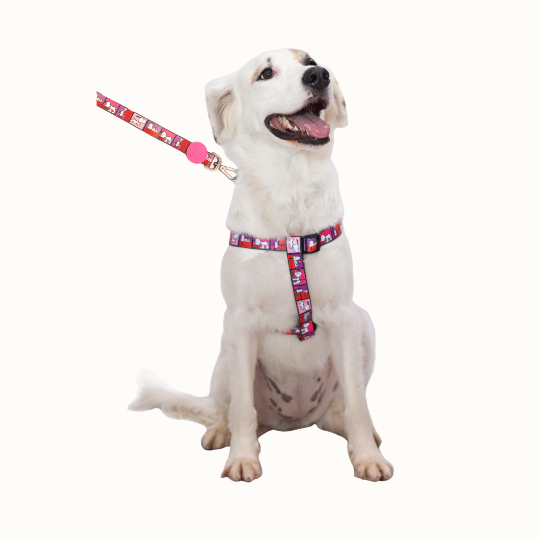 Arnês Zooz, em padrão cor de rosa, vermelho e roxo, com figuras do snoopy. Exibido num cão de porte médio-grande, sobre fundo branco.