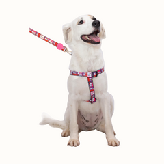 Arnês Zooz, em padrão cor de rosa, vermelho e roxo, com figuras do snoopy. Exibido num cão de porte médio-grande, sobre fundo branco.