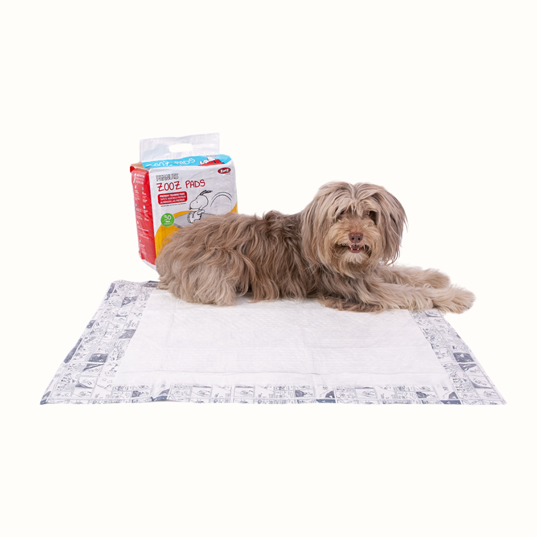 Resguardos Zooz, Absorventes do Snoopy para animal. Vista frontal de um cão de porte pequeno em exibição, sobre fundo branco.