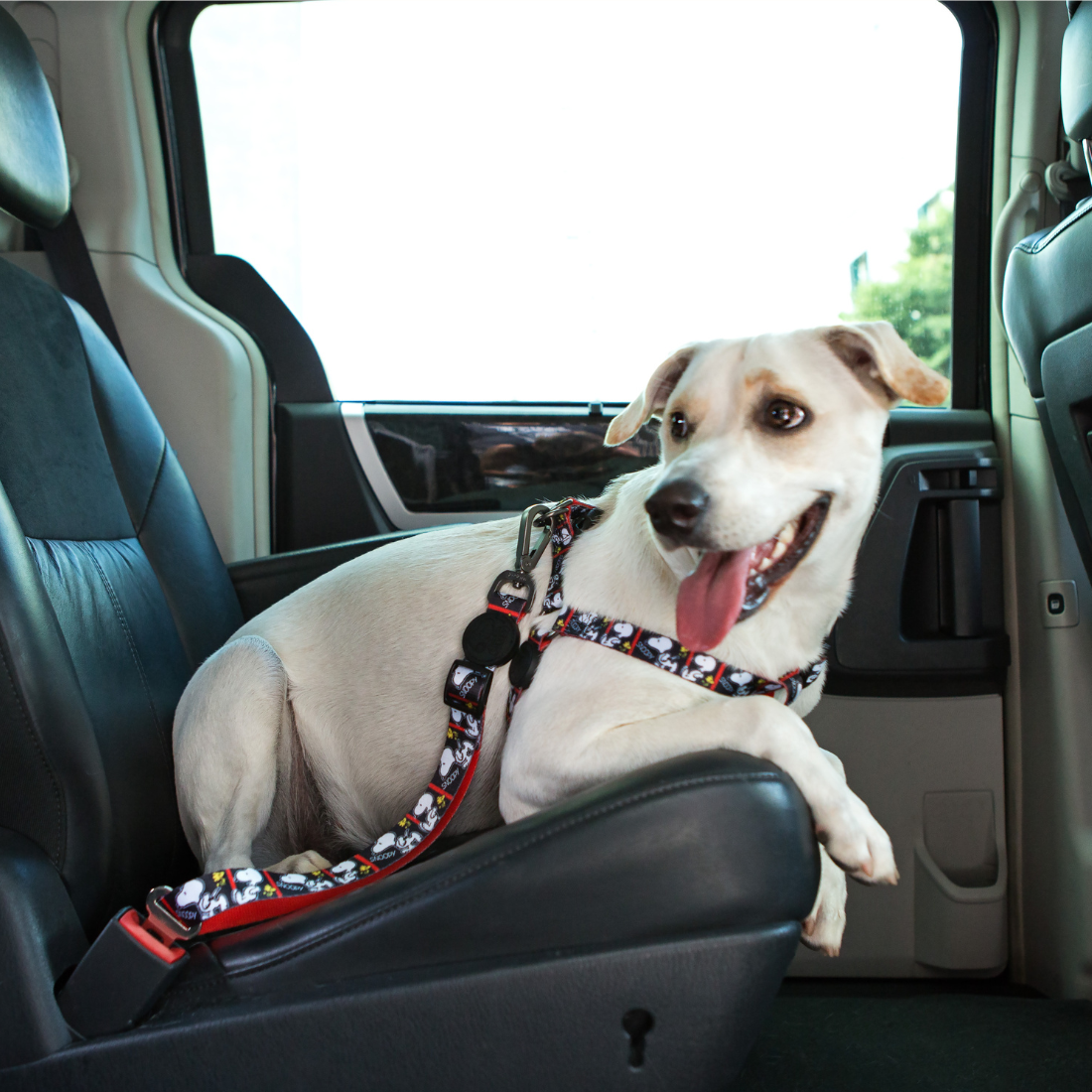 Cinto de segurança Zooz para cão, com padrão em preto e vermelho do Snoopy. Demonstrado em uso por um cão de porte pequeno-médio, exibido em ambiente exterior.