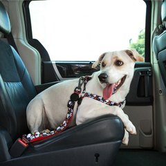 Cinto de segurança Zooz para cão, com padrão em preto e vermelho do Snoopy. Demonstrado em uso por um cão de porte pequeno-médio, exibido em ambiente exterior.