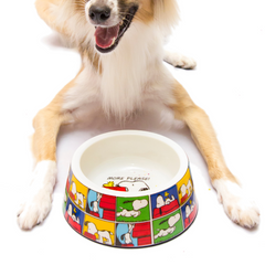 Comedouro ZOOZ para animal, com design do Snoopy, featuring ilustrações coloridas do personagem. Material de plástico. Vista frontal, exibida num cão, sobre fundo branco.