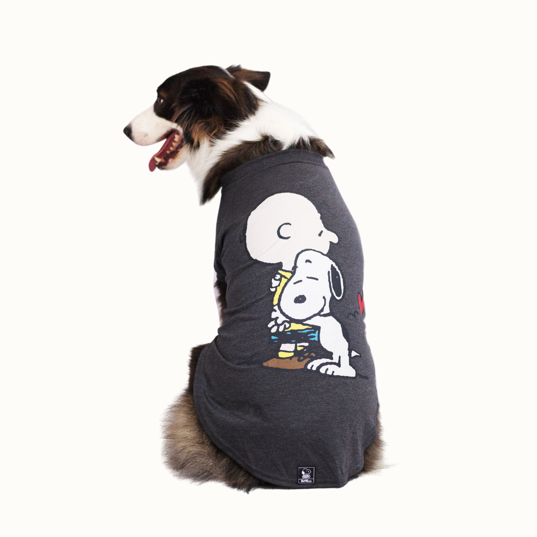T-shirt Zooz para cão, de cor cinza, com estampa do Snoopy abraçado ao Charlie Brown. Vista das costas de um cão de porte médio-grande, sobre fundo branco.