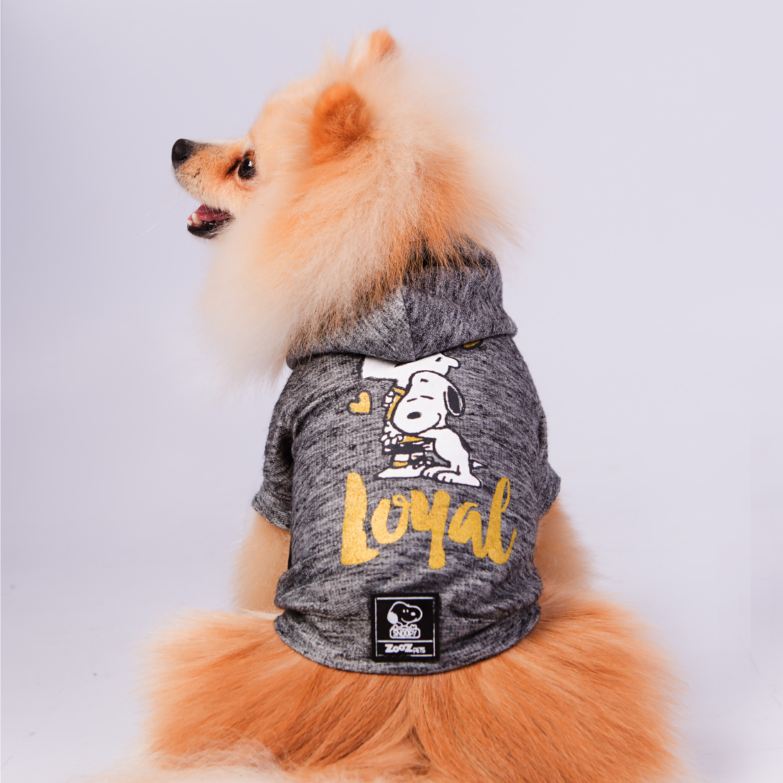 Sweatshirt Zooz para cão em cinza mesclado, com estampa do Snoopy abraçado ao Charlie Brown e a palavra "Loyal" em amarelo. Vista de frente, sobre fundo branco. Vista das costas de um cão de porte pequeno, sobre fundo branco.