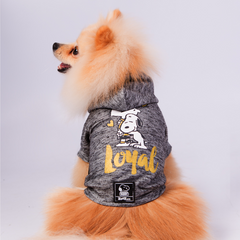 Sweatshirt Zooz para cão em cinza mesclado, com estampa do Snoopy abraçado ao Charlie Brown e a palavra "Loyal" em amarelo. Vista de frente, sobre fundo branco. Vista das costas de um cão de porte pequeno, sobre fundo branco.
