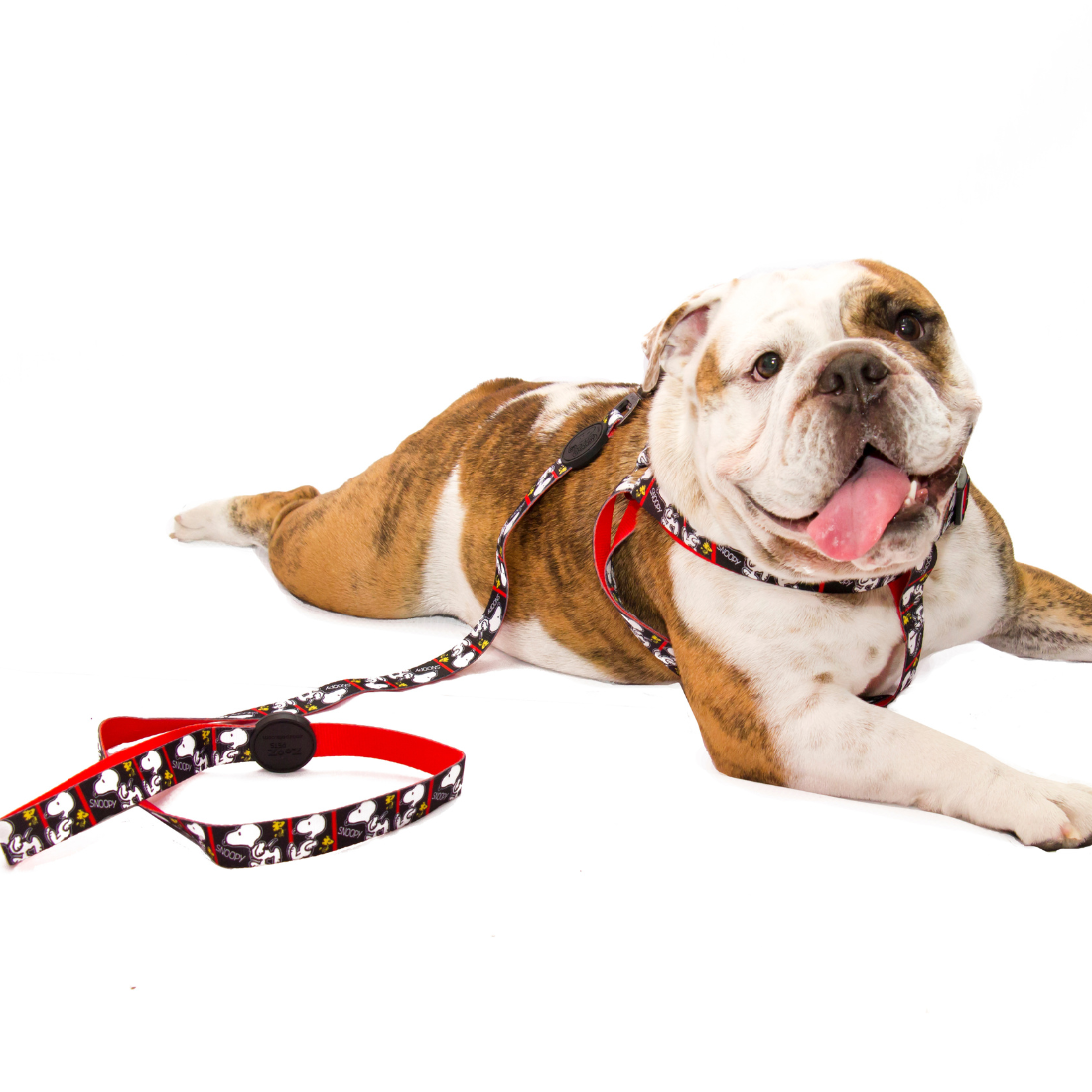 Trela Zooz ajustável, de padrão preto e branco com detalhes em vermelho e com figuras do snoopy.
Exibida num cão, em ambiente exterior.