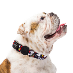 Coleira Zooz, em padrão preto e branco com detalhes em vermelho e imagens do personagem snoopy. Exibido num cão de porte médio, sobre fundo branco.