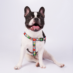 Arneses Snoopy Zooz Pets: Conforto e segurança para seu animal de estimação. Segurança e mobilidade. Compre já!