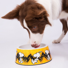 Comedouro ZOOZ para animal, em plástico, com design do Snoopy, cor amarelo e preto, com imagens do personagem. Exibido num cão, em ambiente exterior.