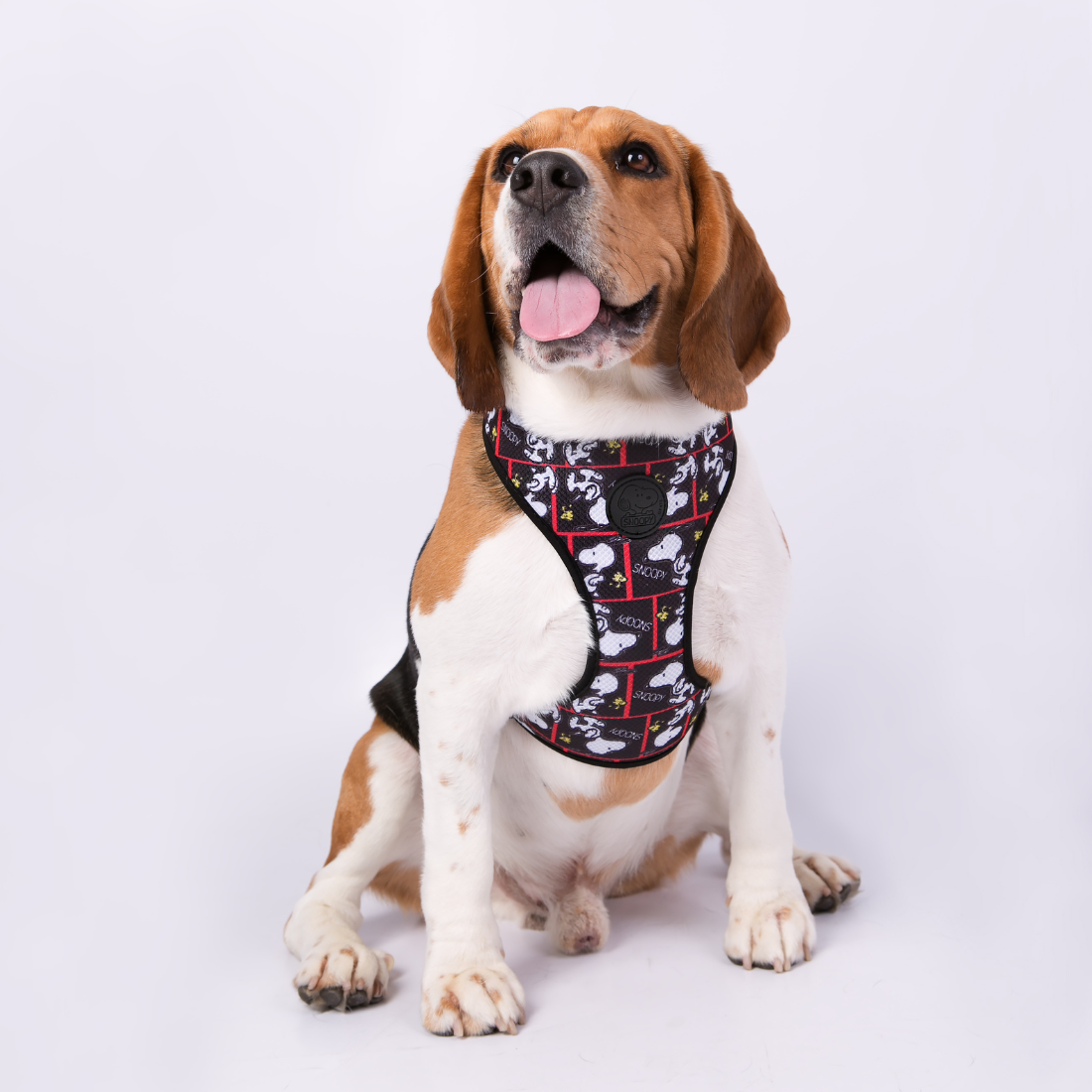 Arnês peitoral Zooz, com o padrão preto e branco, detalhes em vermelho e com figuras do snoopy. Exibido num cão de porte pequeno-médio, sobre fundo branco.