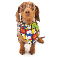 Bandana Zooz, colorida do Snoopy e com elementos como a frase "joe cool". Exibida num cão de porte pequeno, sobre fundo branco.