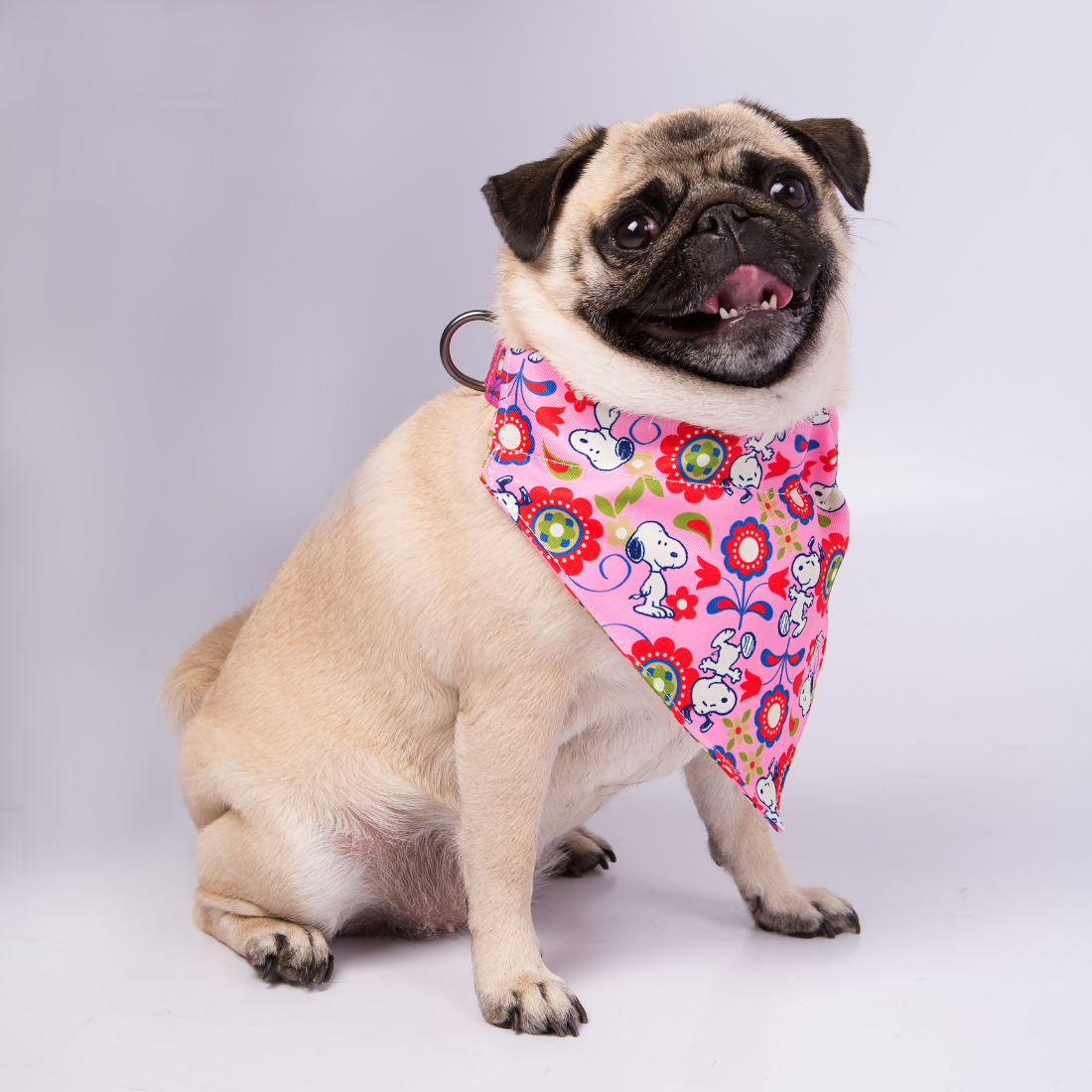 Bandana Zooz, cor de rosa, floral, do Snoopy. Exibida num cão de porte pequeno, sobre fundo branco.