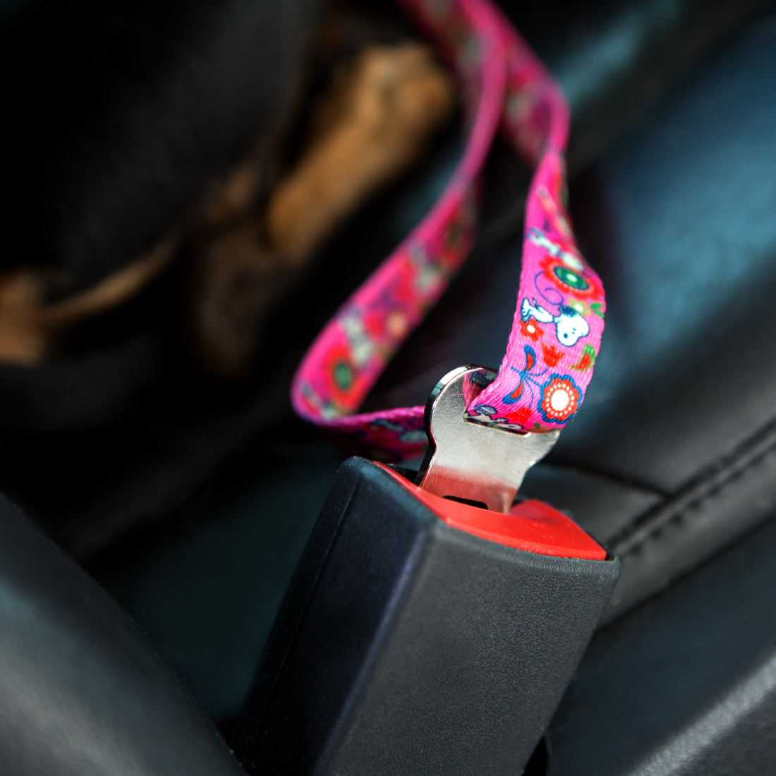 Cinto de segurança Zooz para cão, com padrão em cor de rosa floral do Snoopy. Demonstrado em uso por um cão de porte pequeno-médio, exibido em ambiente exterior.