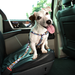 Cinto de segurança Zooz para cão, com padrão azul, branco, laranja e vermelho, do Snoopy. Apresentado na embalagem original, exibido de frente sobre um fundo branco.