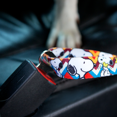 Cinto de segurança Zooz para cão, com padrão azul, branco, laranja e vermelho, do Snoopy. Visto em detalhe, exibido em ambiente exterior.