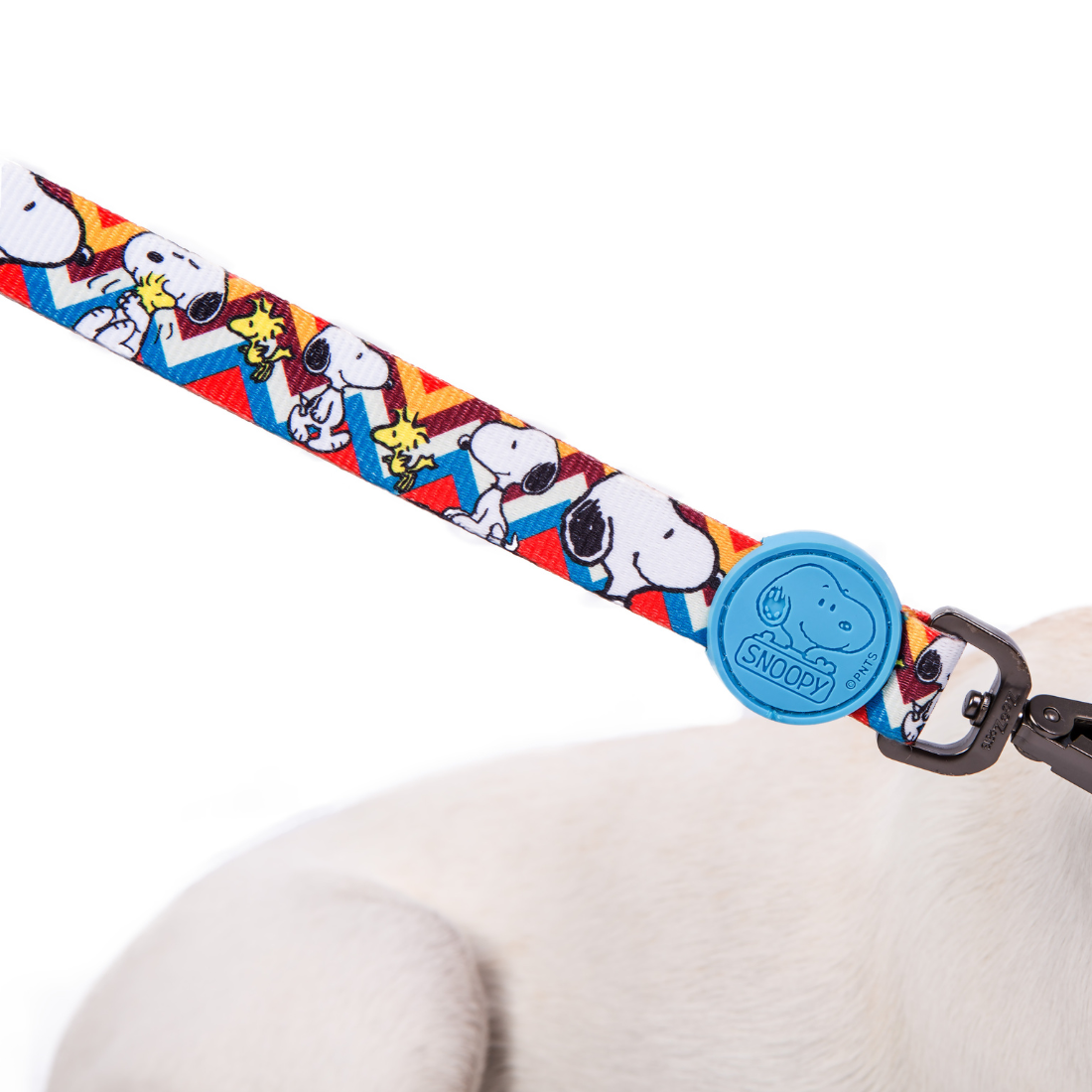 Trela Snoopy Zooz, de cor azul, amarela e branca em zig-zag com detalhes do personagem. Vista em detalhe, sobre fundo branco.