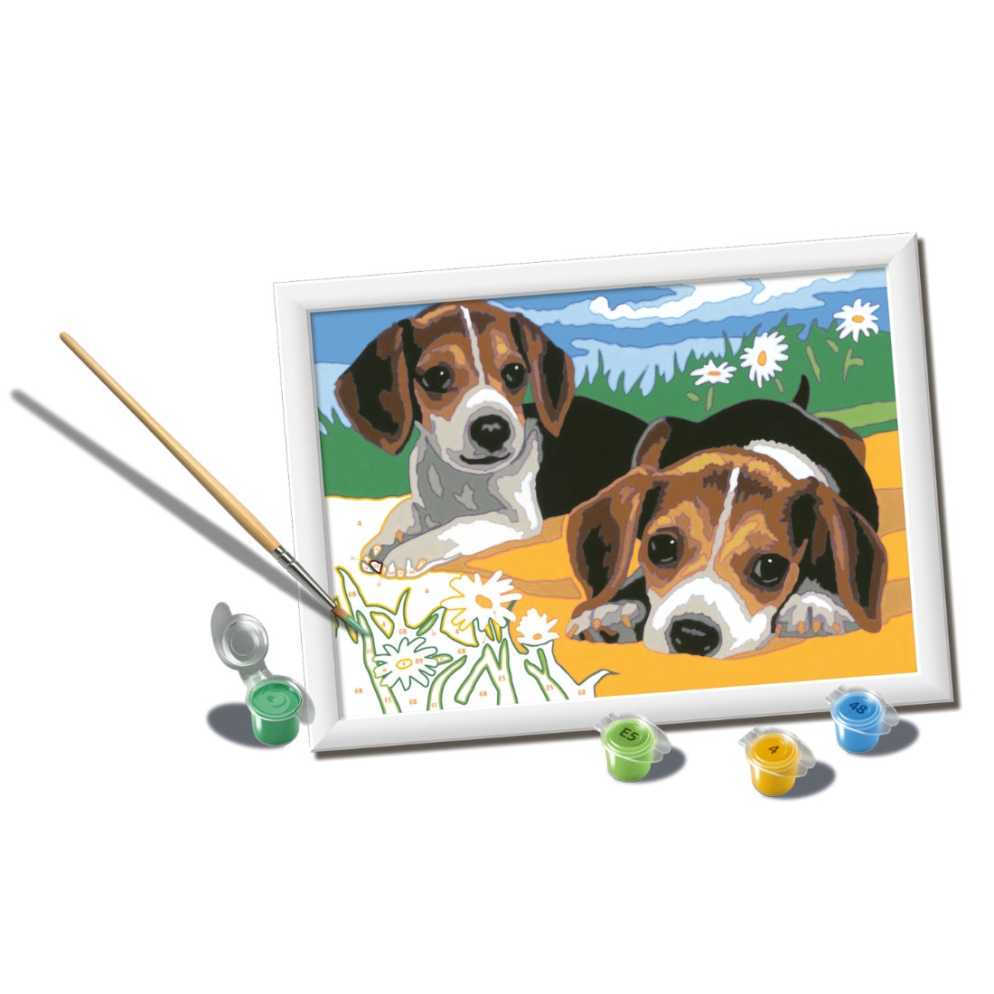 Pintura por números Cãezinhos Jack Russell – Ravensburger