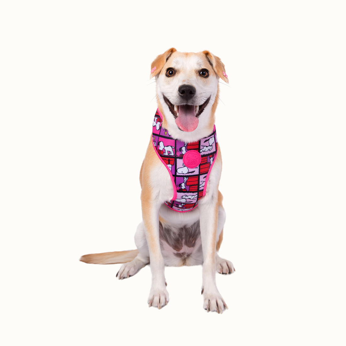 Arnês peitoral Zooz, com padrão rosa, vermelho e roxo, com figuras do snoopy. Exibido num cão de porte médio, sobre fundo branco.