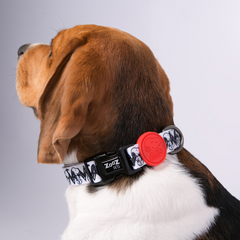 Coleira Zooz, de padrão bege e preto, com detalhes vermelhos e com figuras do snoopy. 
Exibido num animal de porte pequeno, sobre fundo branco. 
