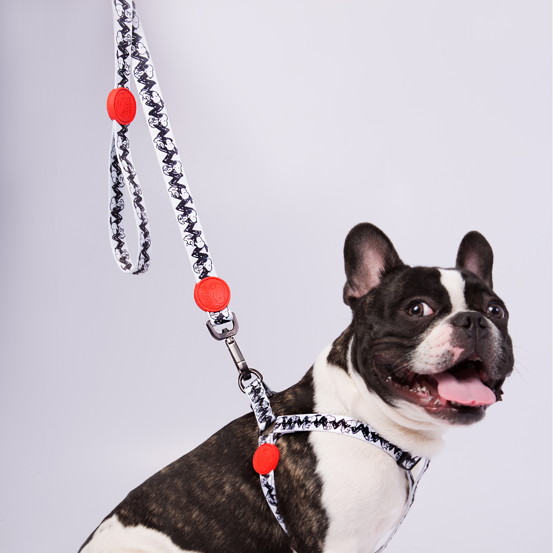 Trela Zooz ajustável, de padrão  preto e bege, com detalhes vermelhos e com figuras do snoopy. 
Exibido num cão de porte pequeno, sobre fundo branco. 