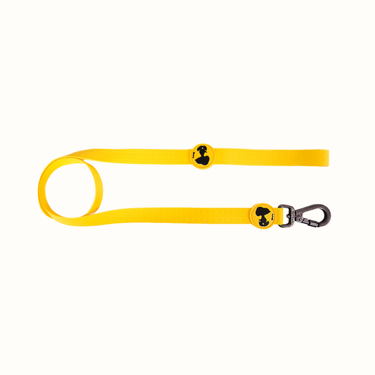 Trela Snoopy Zooz, de cor amarelo com detalhes em preto. Vista de frente, sobre fundo branco. 