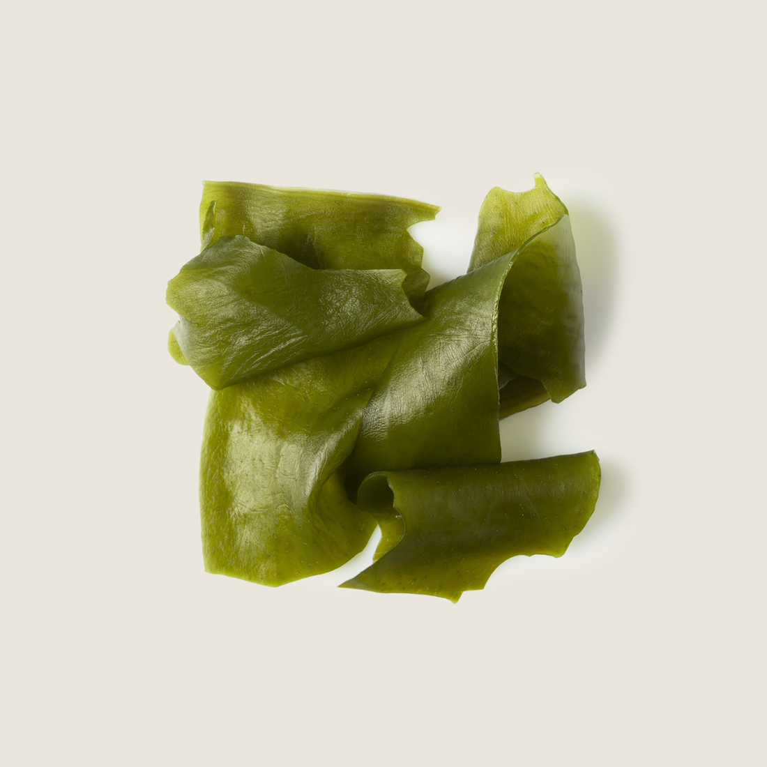 Pack de 7 Bolsas de Alga Wakame desidratada - TREVIJANO