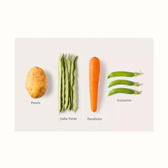 Salada Vegan Trevijano: Base vegetal versátil para criar refeições equilibradas e deliciosas. Inspire-se e saboreie!