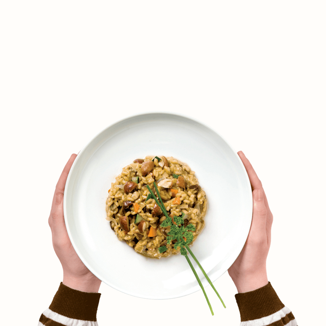 Risoto de Cogumelos: Explore a autenticidade e o sabor reconfortante dos melhores cogumelos para uma experiência gastronômica deliciosa e única.
