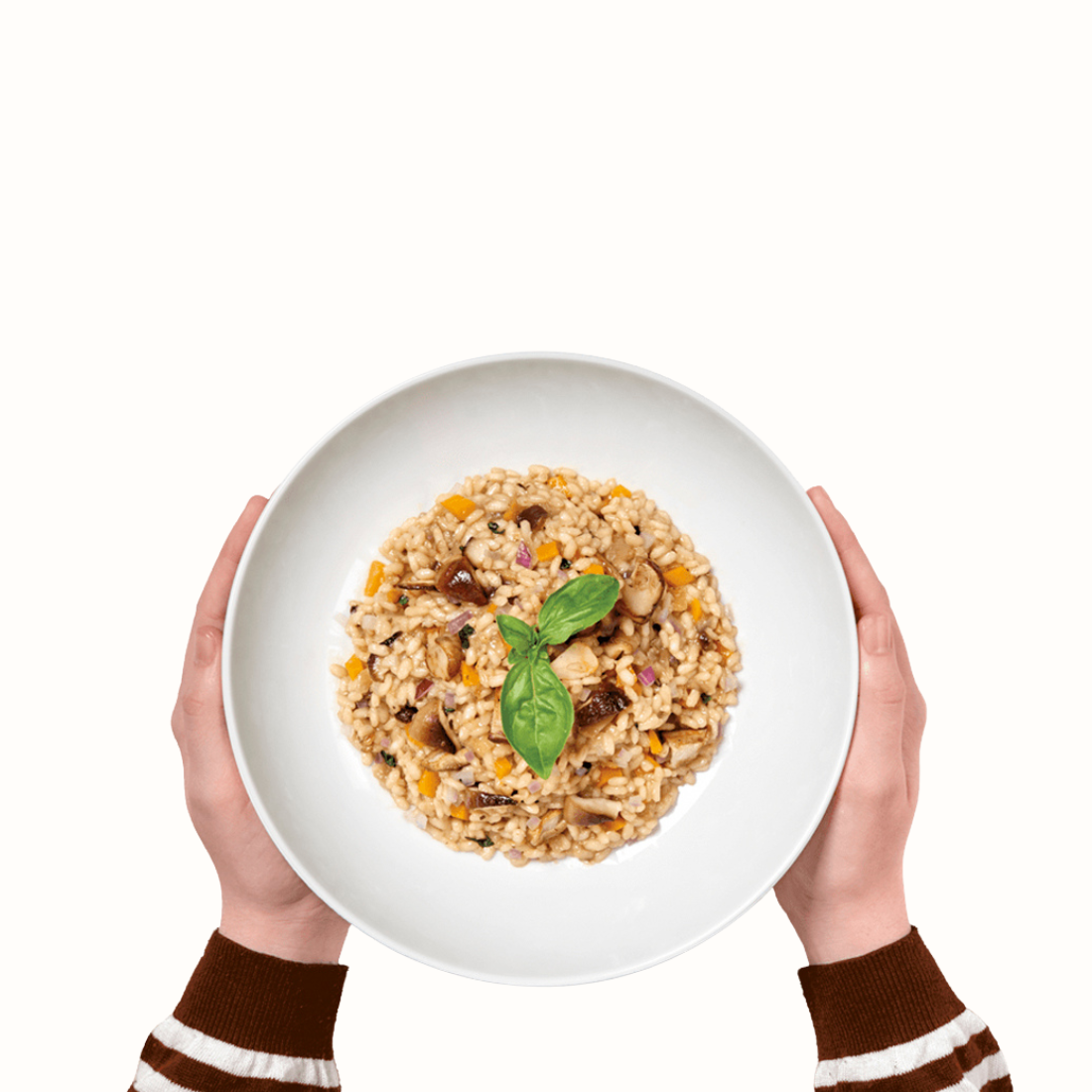 Risotto Outono: Desfrute do sabor dos cogumelos boletos e shitake para uma experiência culinária que celebra a magia do Outono.